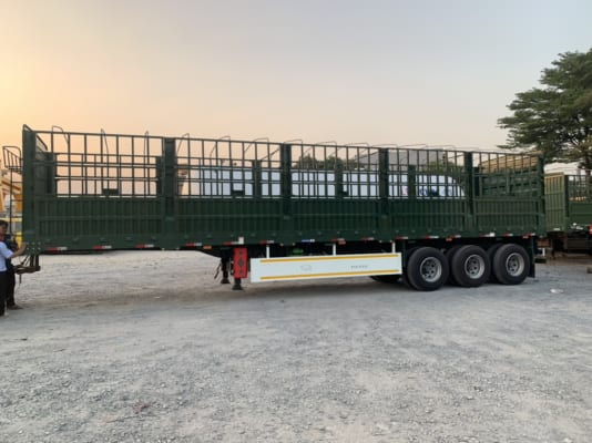 MOOC KHUNG MUI TIANRUI 12.4M