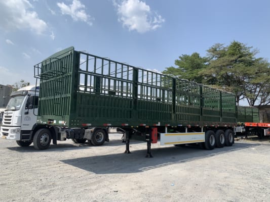 MOOC KHUNG MUI TIANRUI 12.4M