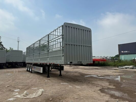 Mooc lồng Kaile 2025 cao 4m xác 7,3 tấn ( Không xăm )