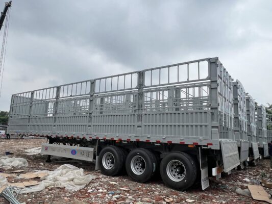 Mooc lồng Kaile 2025 cao 4m xác 7,3 tấn ( Không xăm )