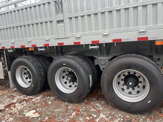 Mooc lồng Kaile 2025 cao 4m xác 7,3 tấn ( Không xăm )