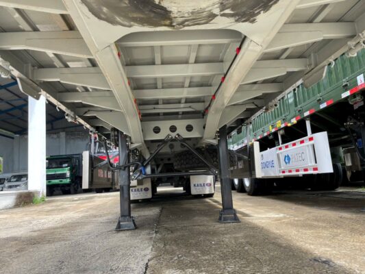 Mooc lồng Kaile 2025 cao 4m xác 7,3 tấn ( Không xăm )